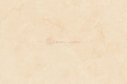 Gạch Ốp Lát APODIO 61182025